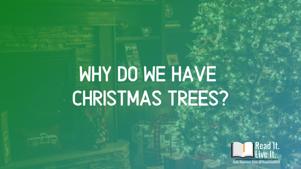 why-do-we-have-christmas-trees-john-3-16-chase-snyder